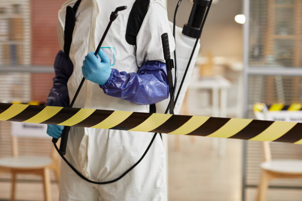 Professional Sewage Cleanup technician working in Fairmount, NY